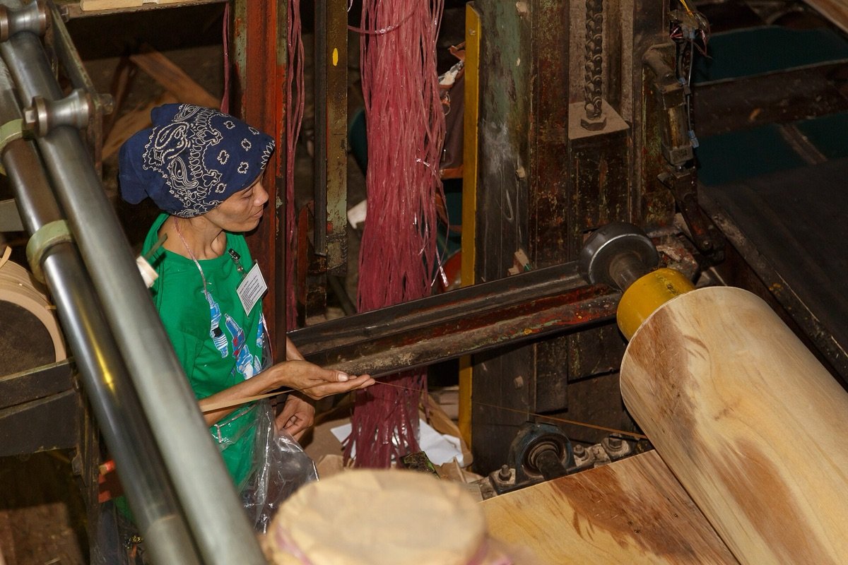 Veneer being processed on a plywood manufacturing line